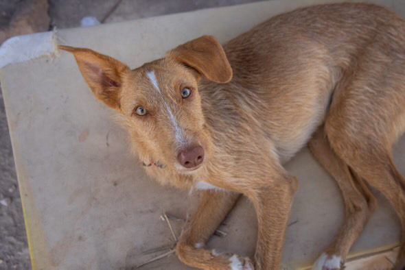 Rio liegt entspannt auf Liegeplatz