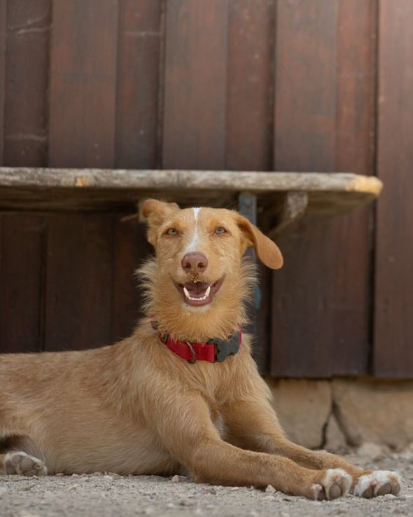 Rio im Auslauf liegt im Schatten