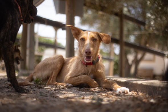 Rio im Auslauf liegt im Schatten