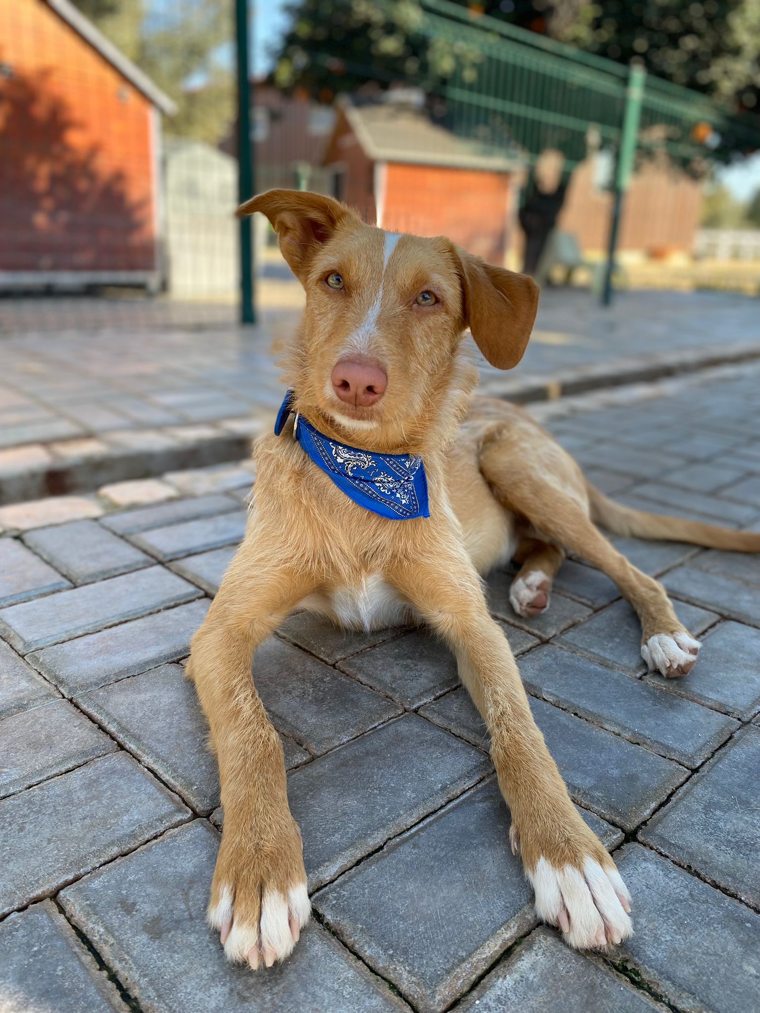 Rio im Auslauf liegt im Schatten