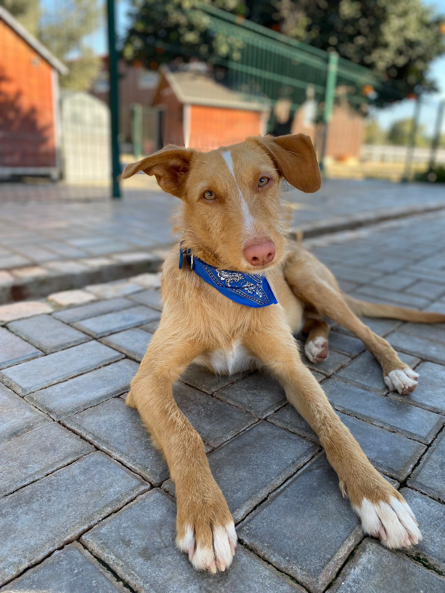 Rio im Auslauf liegt im Schatten