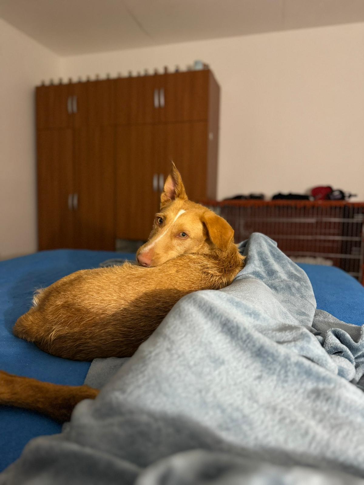 Rio liegt entspannt auf Liegeplatz