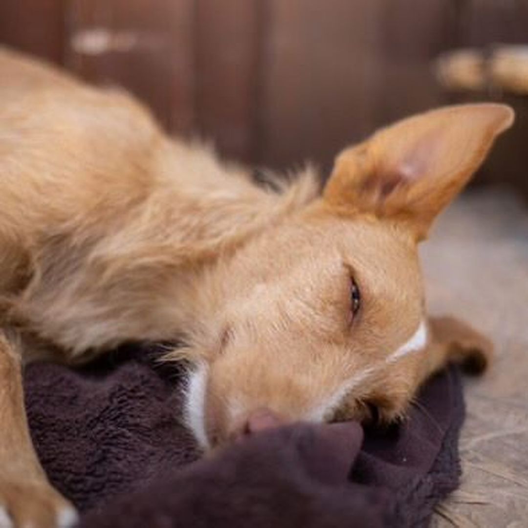 	

Rio liegt entspannt auf Liegeplatz