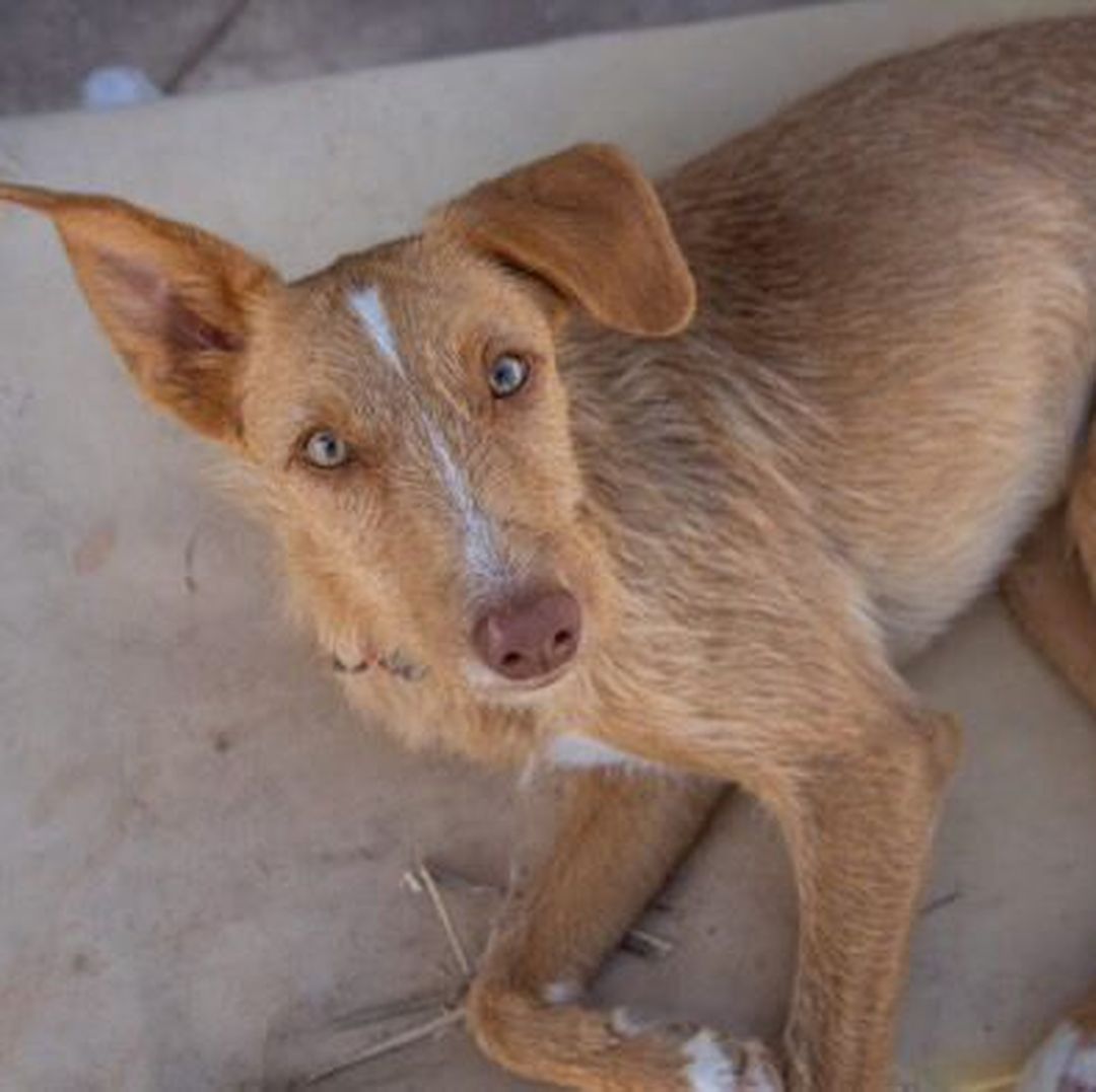 Rio liegt entspannt auf Liegeplatz