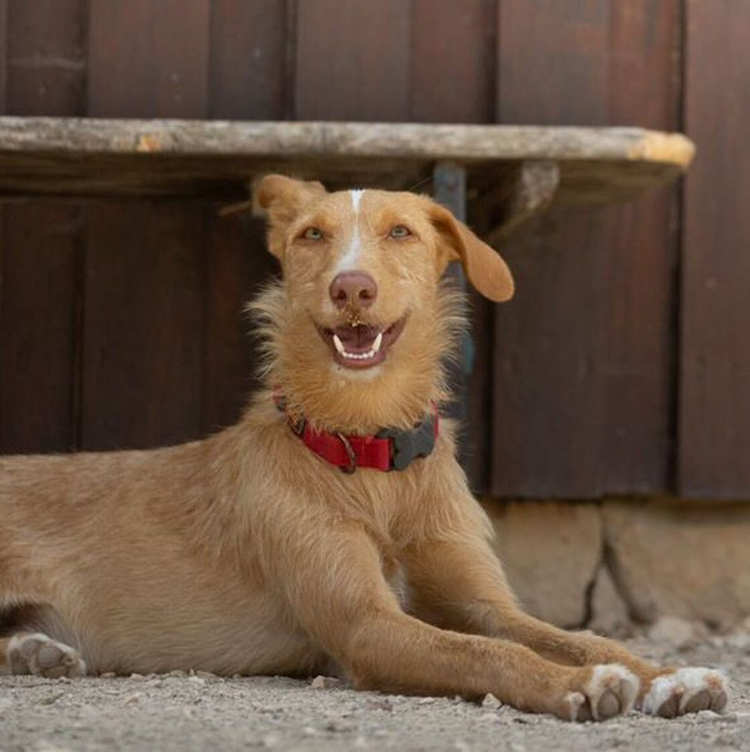 Rio im Auslauf liegt im Schatten