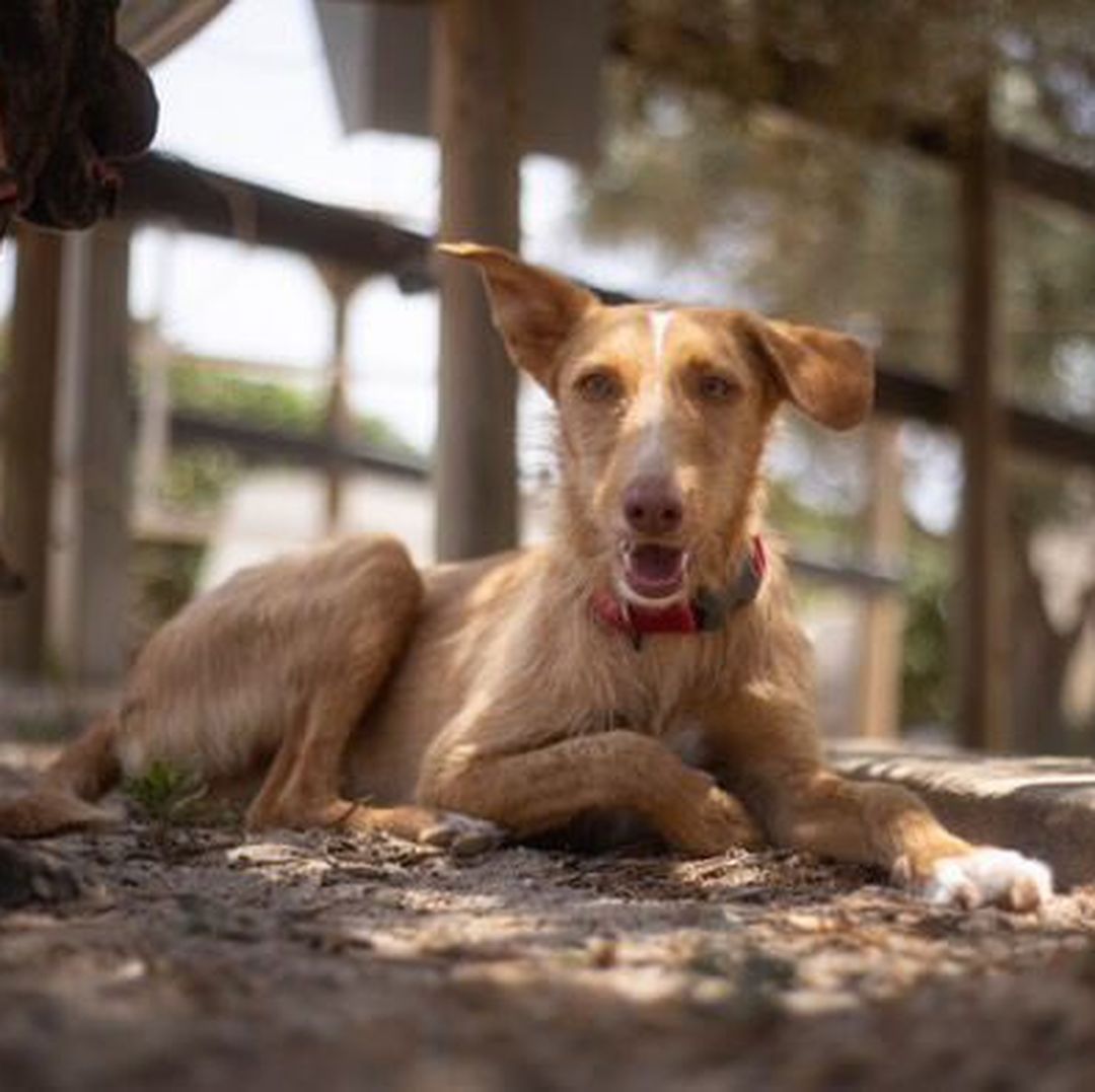 Rio im Auslauf liegt im Schatten