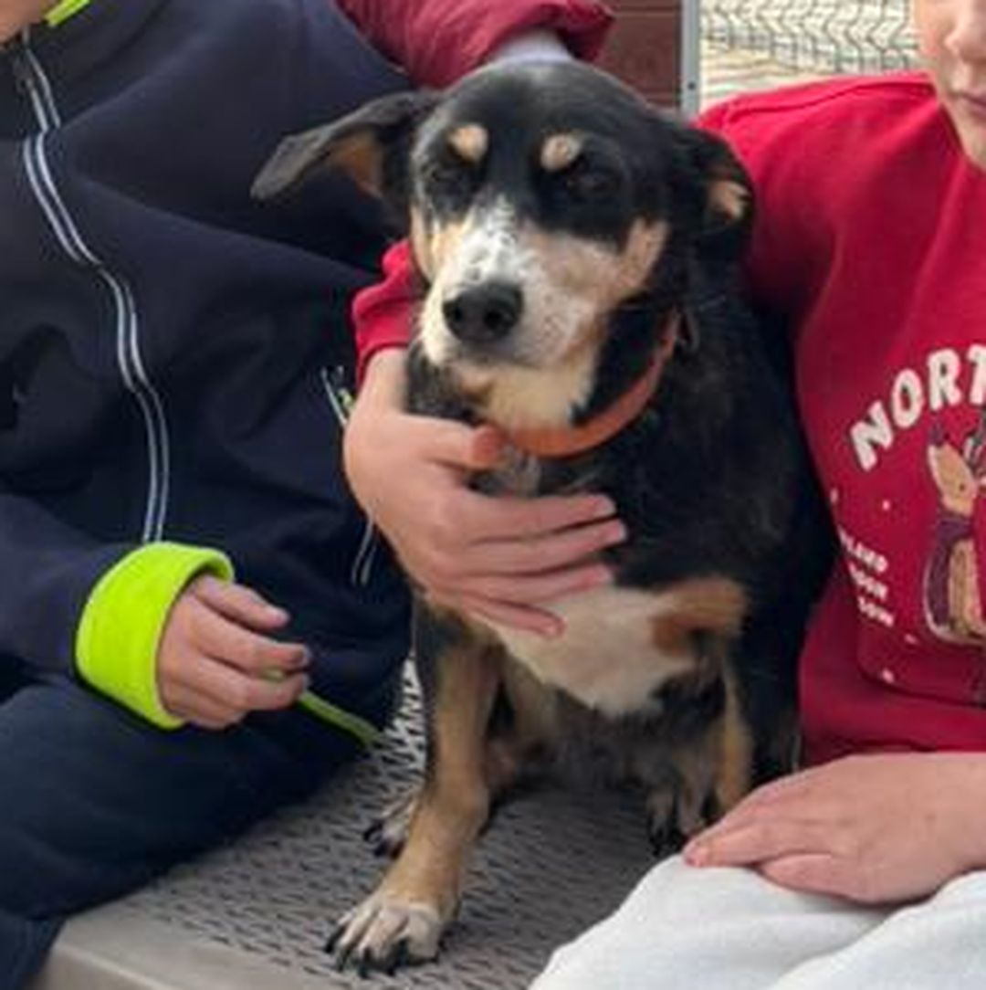 Luisa sitzt bei Kindern