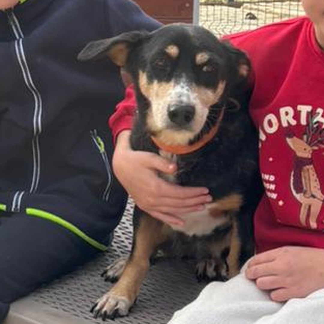 Luisa sitzt bei Kindern