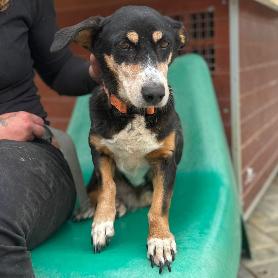 Luisa sitzt auf Stuhl