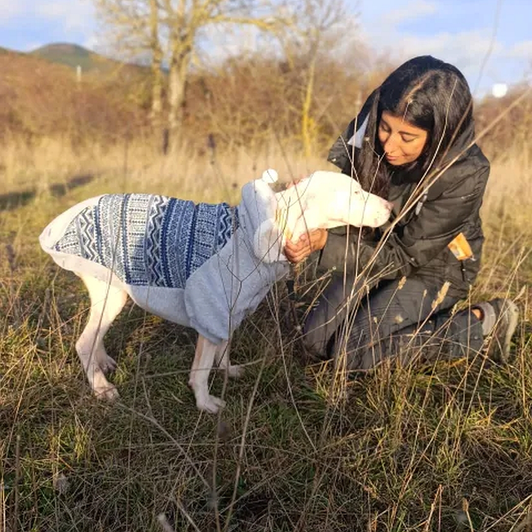 Weiße Hündin, stehend, rechte Seite, Kopf und Blick geradeaus, dahinter eine Person, die streichelt