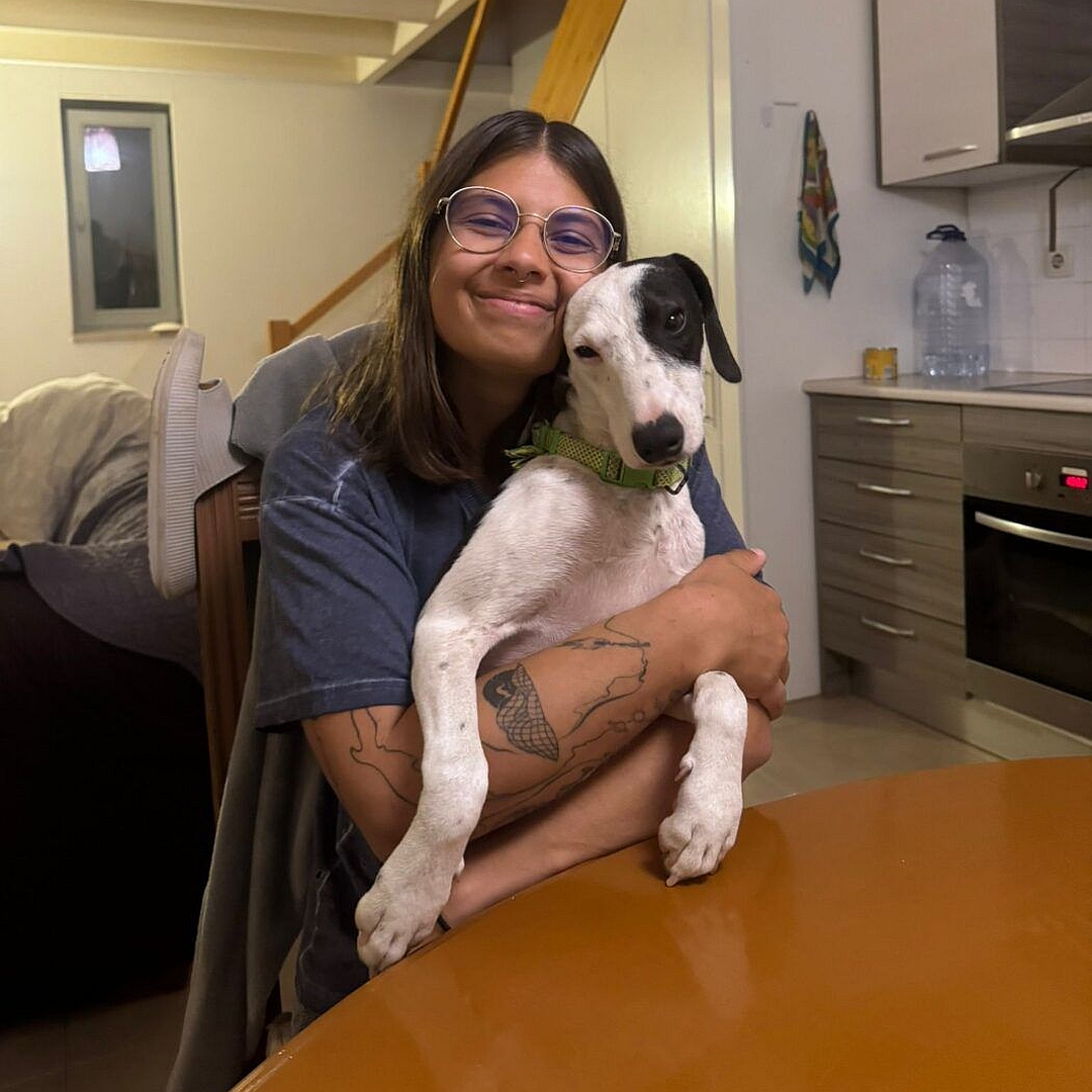 Schwarz-weißer Rüde, auf dem Arm einer Person, von vorn, Blick nach links unten