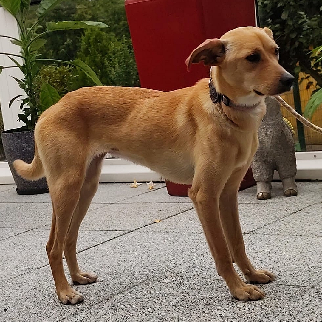 FINALISTA auf der Terrasse 