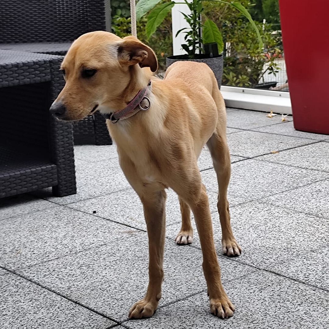 FINALISTA auf der Terrasse