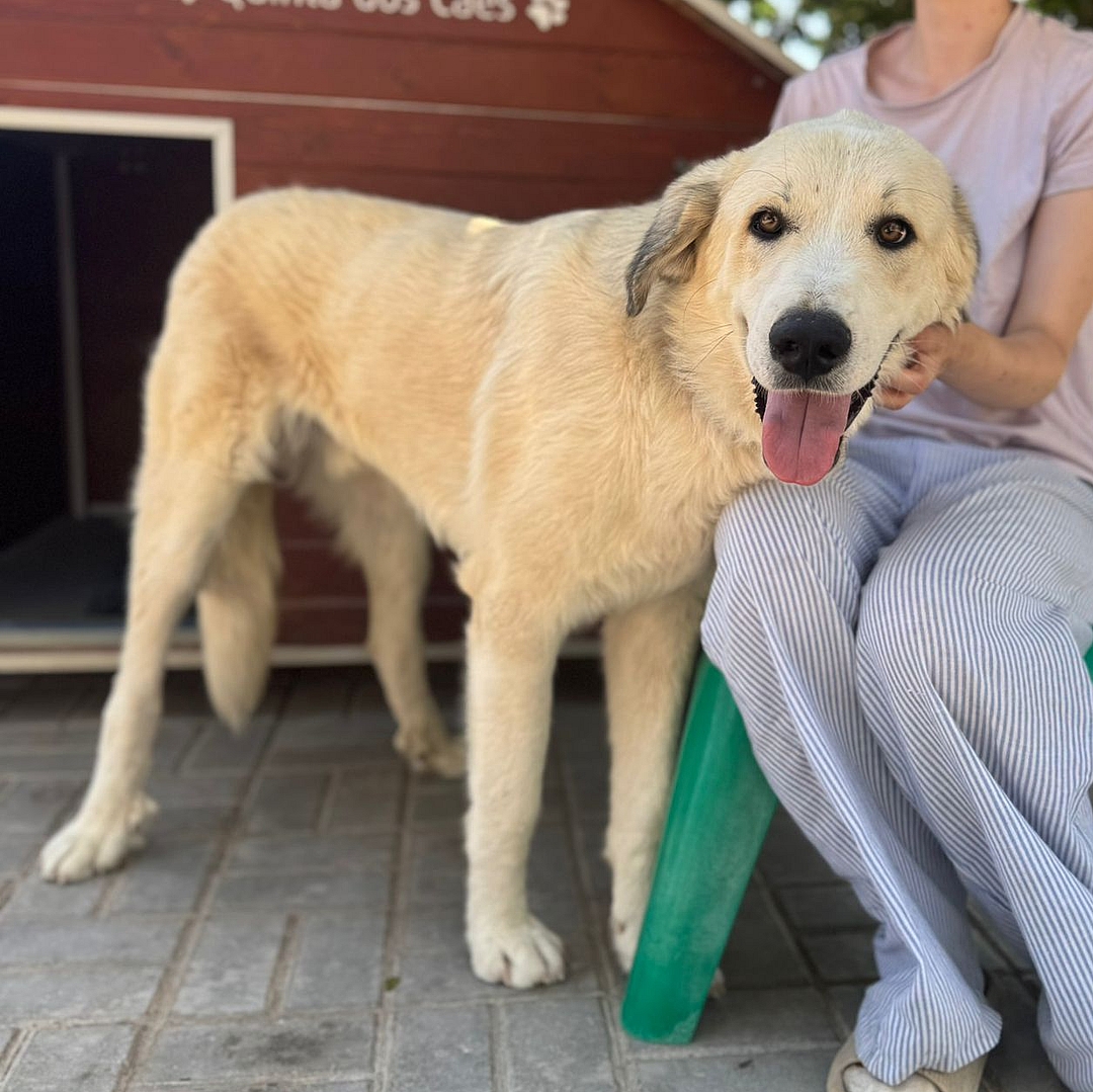 Nico steht neben Tierpflegerin