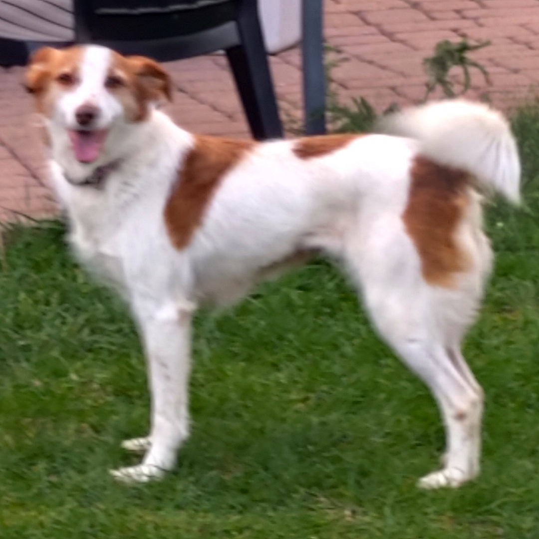 Bina steht vor der Terrasse