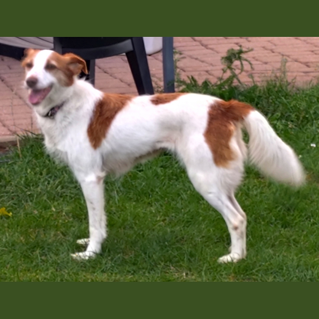 Bina steht seitlich vor der Terrasse und blickt nach links